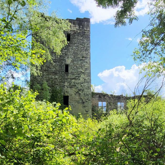 france/auvergne-rhone-alpes/le-bourget-du-lac/chateau-de-thomas-de-savoie