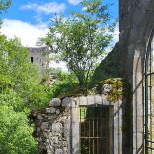 france/auvergne-rhone-alpes/le-bourget-du-lac/chateau-de-thomas-de-savoie