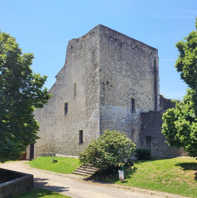 france/auvergne-rhone-alpes/montelimar/chateau-des-adhemar