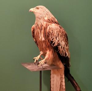 france/auvergne-rhone-alpes/monts-du-lyonnais/parc-animalier-de-courzieu