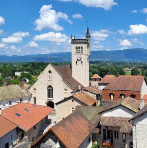 france/auvergne-rhone-alpes/morestel