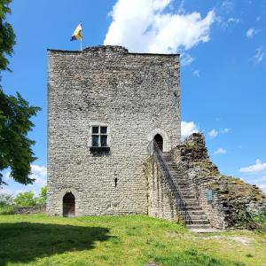 france/auvergne-rhone-alpes/morestel/chateau