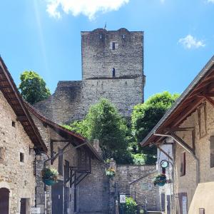 france/auvergne-rhone-alpes/morestel/chateau