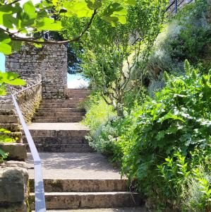 france/auvergne-rhone-alpes/morestel/chateau