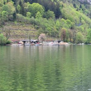 france/auvergne-rhone-alpes/nantua/lac-de-nantua-promenade