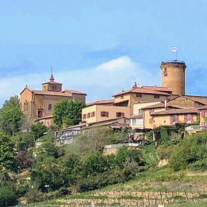 france/auvergne-rhone-alpes/oingt