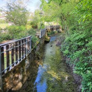 france/auvergne-rhone-alpes/oyonnax/parc-de-l-oyonnalithe