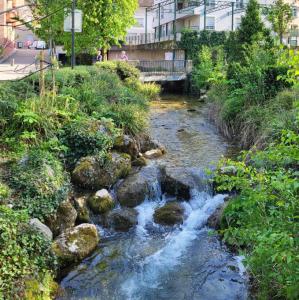 france/auvergne-rhone-alpes/oyonnax/parc-rene-nicod