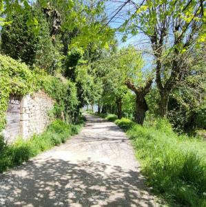 france/auvergne-rhone-alpes/perouges/enceinte-exterieure