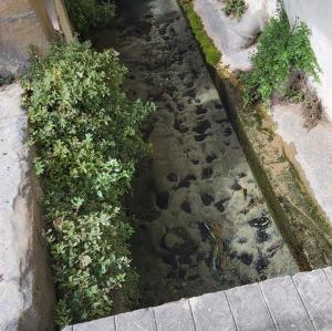 france/auvergne-rhone-alpes/romans-sur-isere/escalier-josaphat