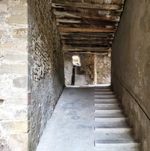 france/auvergne-rhone-alpes/saint-antoine-l-abbaye