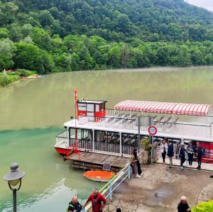 france/auvergne-rhone-alpes/saint-nazaire-en-royans/bateau-a-roue