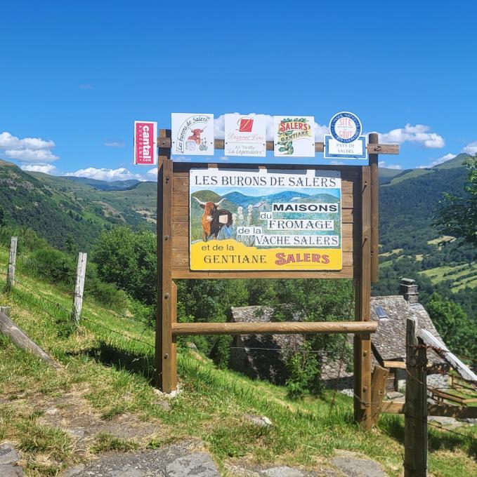 france/auvergne-rhone-alpes/salers/burons-de-salers-panorama-sur-le-cirque-de-recusset