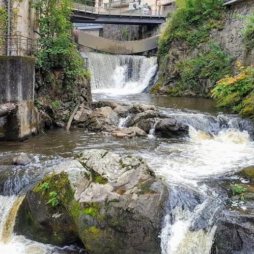 france/auvergne-rhone-alpes/thiers/le-creux-de-l-enfer