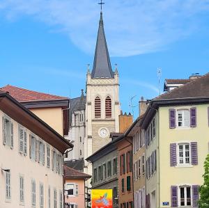 france/auvergne-rhone-alpes/thonon-les-bains/basilique-saint-francois-de-sales