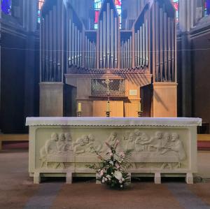 france/auvergne-rhone-alpes/thonon-les-bains/basilique-saint-francois-de-sales