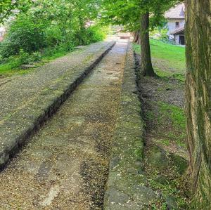 france/auvergne-rhone-alpes/thonon-les-bains/canal-de-l-oncion