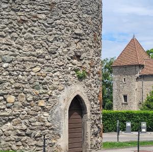 france/auvergne-rhone-alpes/thonon-les-bains/port-de-plaisance-de-rives