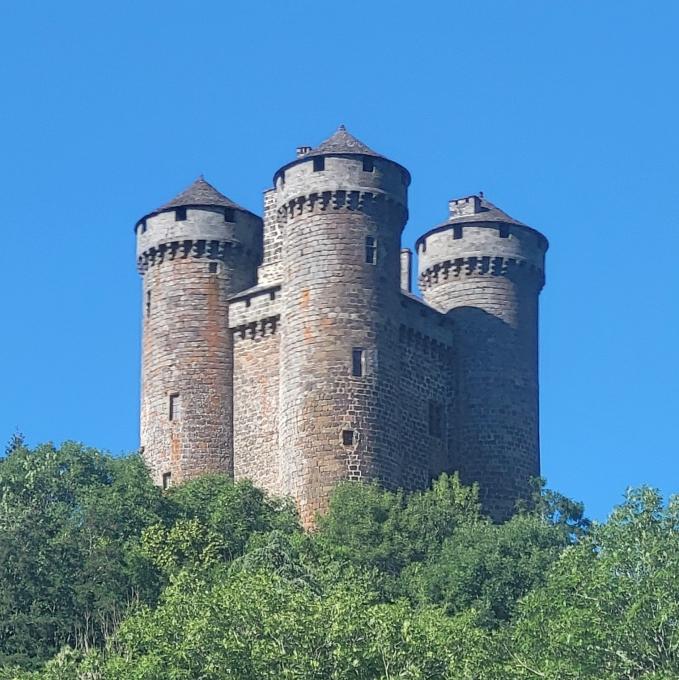 france/auvergne-rhone-alpes/tournemire/chateau-des-anjony