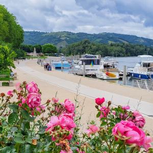 france/auvergne-rhone-alpes/tournon-sur-rhone
