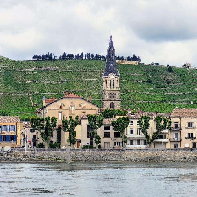 france/auvergne-rhone-alpes/tournon-sur-rhone/tain-l-hermitage