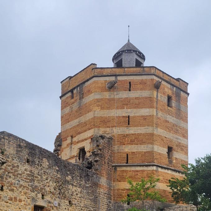 france/auvergne-rhone-alpes/trevoux/chateau-de-trevoux