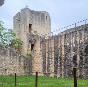france/auvergne-rhone-alpes/trevoux/chateau-de-trevoux
