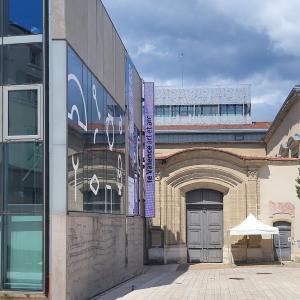 france/auvergne-rhone-alpes/valence-france/musee-de-valence-art-et-archeologie