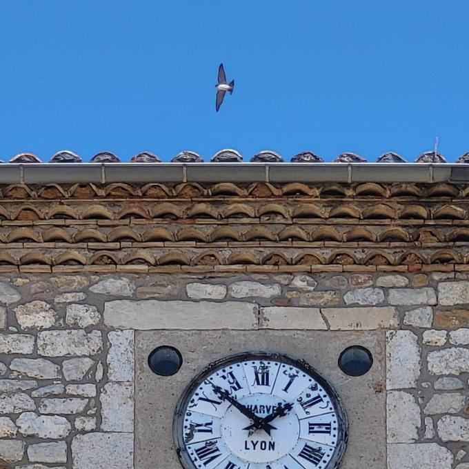 france/auvergne-rhone-alpes/vallon-pont-d-arc/hotel-de-ville-chateau