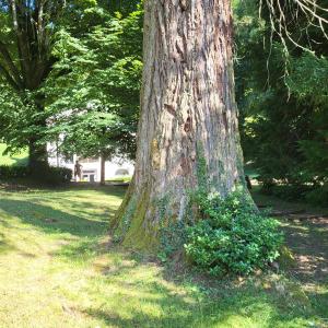 france/auvergne-rhone-alpes/vic-sur-cere/parc-des-eaux