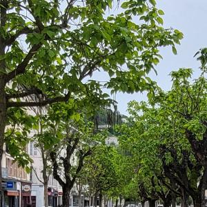 france/auvergne-rhone-alpes/vienne-france/cours-romestang