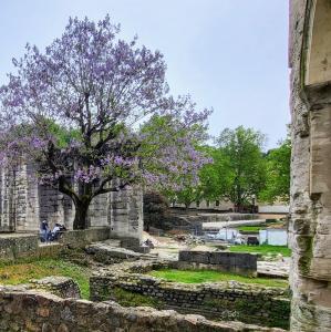 france/auvergne-rhone-alpes/vienne-france/jardin-de-cybele-forum
