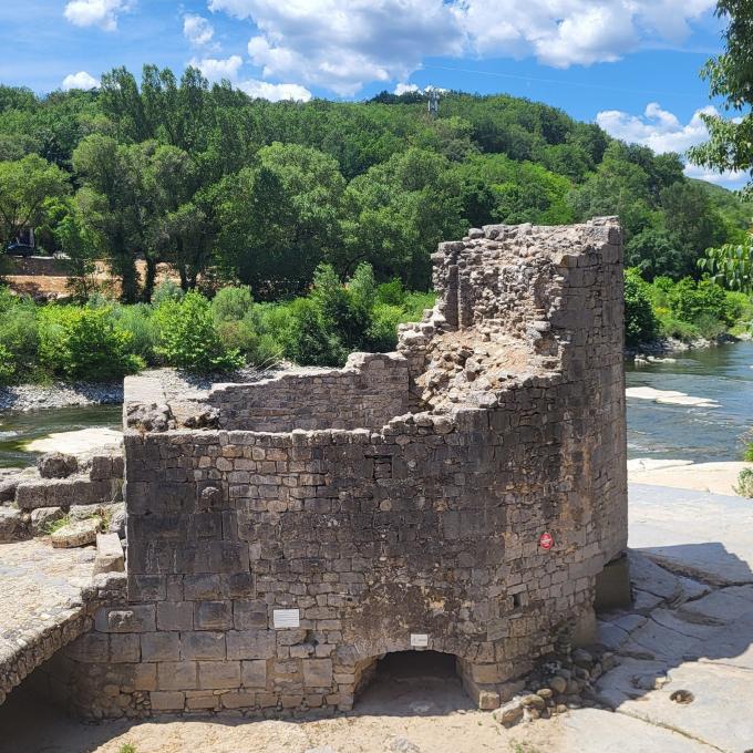 france/auvergne-rhone-alpes/vogue/ancien-moulin