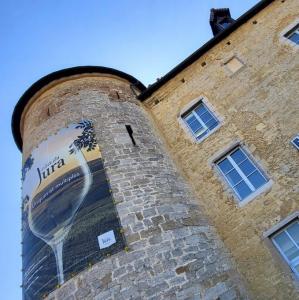 france/bourgogne-franche-comte/arbois/musee-de-la-vigne-et-du-vin-chateau-pecauld