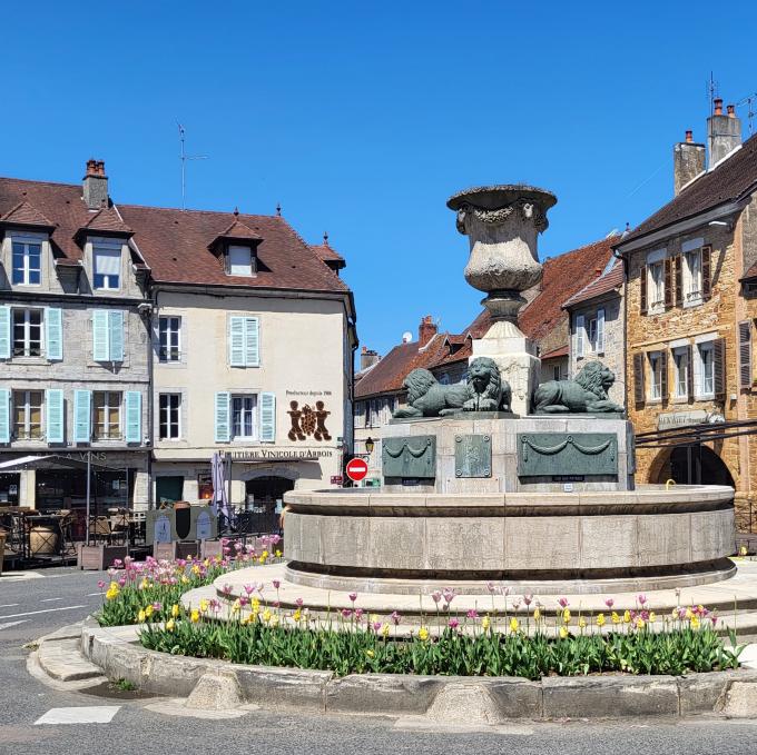 france/bourgogne-franche-comte/arbois/place-de-la-liberte