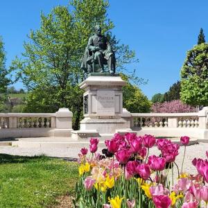 france/bourgogne-franche-comte/arbois/statue-de-pasteur