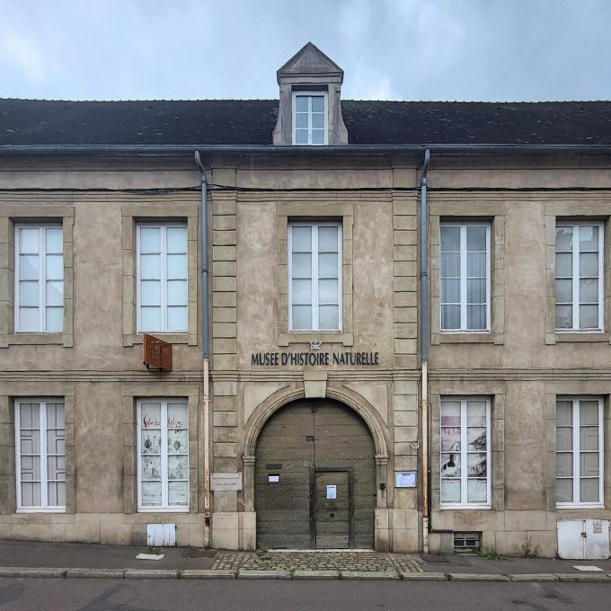 france/bourgogne-franche-comte/autun/museum-d-histoire-naturelle