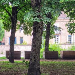 france/bourgogne-franche-comte/autun/promenade-des-marbres