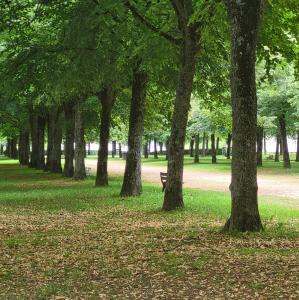 france/bourgogne-franche-comte/autun/promenade-des-marbres