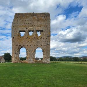 france/bourgogne-franche-comte/autun/temple-de-janus