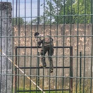 france/bourgogne-franche-comte/auxonne/511e-regiment-du-train