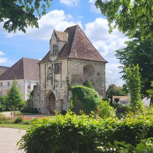 france/bourgogne-franche-comte/auxonne/porte-de-comte
