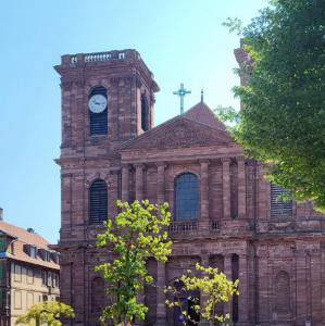 france/bourgogne-franche-comte/belfort/cathedrale-saint-christoph