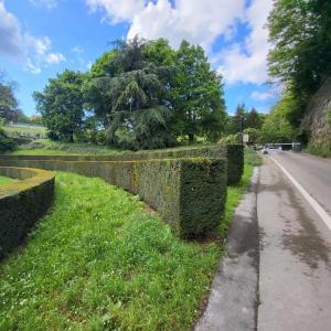 france/bourgogne-franche-comte/besancon/anciennes-arenes