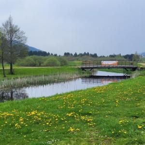 france/bourgogne-franche-comte/bois-d-amont