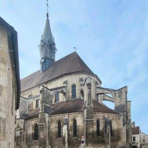 france/bourgogne-franche-comte/chablis/collegiale-saint-martin