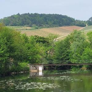 france/bourgogne-franche-comte/chablis/panorama