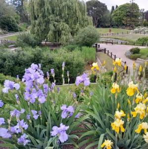 france/bourgogne-franche-comte/chalon-sur-saone/parc-georges-nouelle-parc-aux-biches