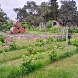 france/bourgogne-franche-comte/chalon-sur-saone/parc-georges-nouelle-parc-aux-biches