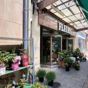 france/bourgogne-franche-comte/champagnole/avenue-de-la-republique